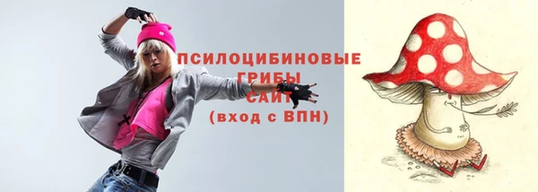 дмт Беломорск