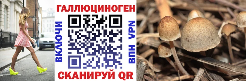 что такое наркотик  Озёрск  Псилоцибиновые грибы Magic Shrooms 