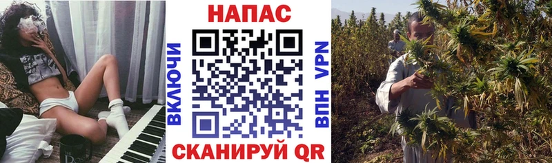 Бошки марихуана план  Озёрск 
